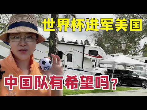 乒乓球巅峰,对决,世界第一争,香港赛马会,赛程安排,赛果查询,马匹资料,比赛分析