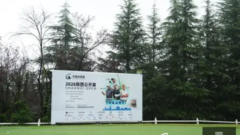 文尼沙战绩盘点：连续3中3，喜悦背后有玄机